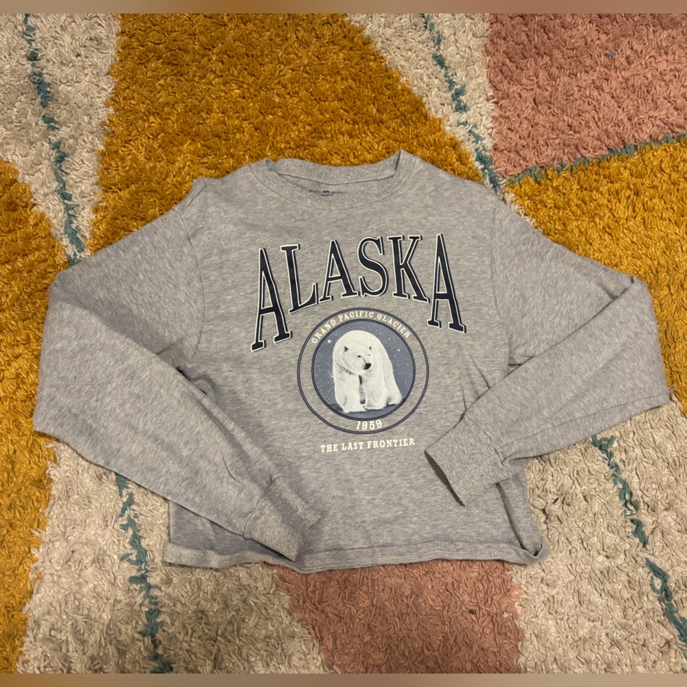 Brandy Melville Gray Alaska Sweatshirt